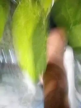 hot-daring online show from April 14, 5:35 am