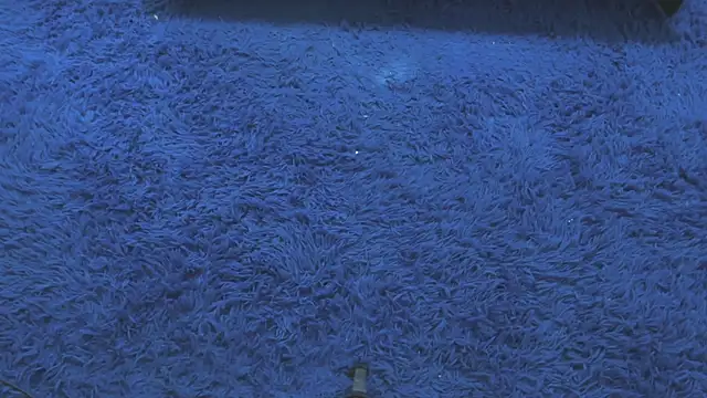 Mia-collins01 online show from April 15, 12:34 pm