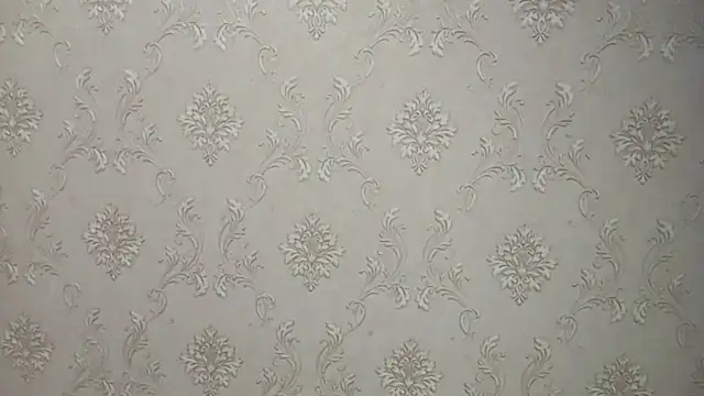 DelicaBrome online show from July 19, 1:15 pm