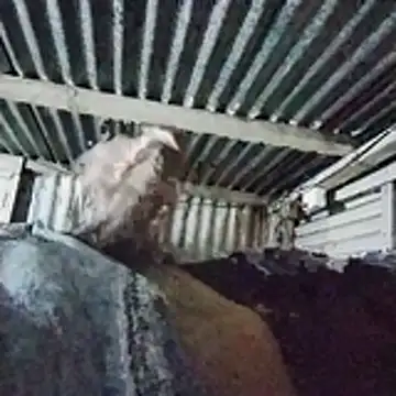 PUNEPLAYBOY2 online show from April 20, 3:04 pm