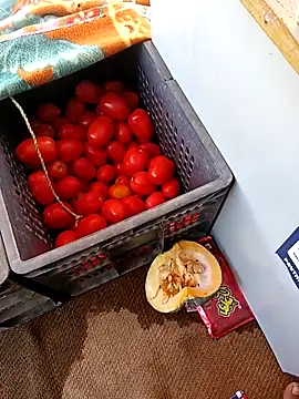 Sanjaykumarsaini online show from April 26, 6:33 am