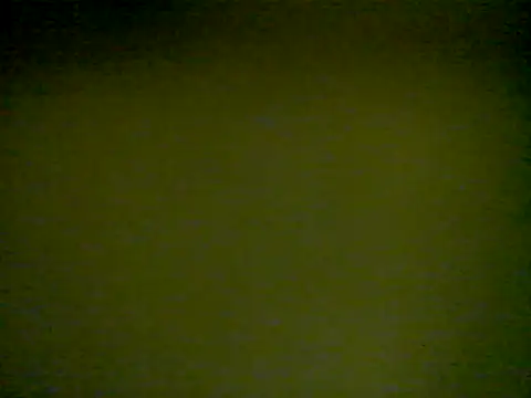 Snapshot of LunjeSA chatting on June 4, 8:31 am LunjeSA online show from June 4, 8:31 am