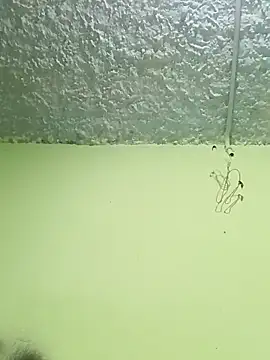 Micaejj online show from April 21, 8:34 pm