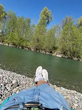 Wolf 18cm online show from April 25, 2:25 pm