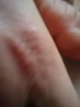 Hazel Nova online show from June 12, 1:48 am