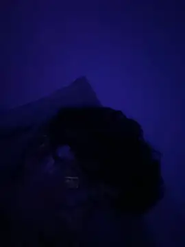 Snapshot of OoRobertooo chatting on May 1, 3:55 am OoRobertooo online show from May 1, 3:55 am