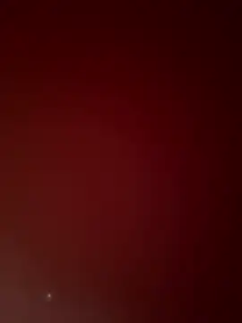 noah ec online show from June 9, 7:20 am