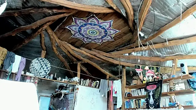 wildforestmuse  online show from July 26, 6:32 am
