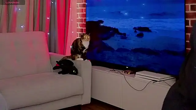 Jean Willson online show from July 31, 4:56 am