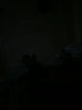 Snapshot of Timmy_T chatting on May 15, 1:12 am Timmy T online show from May 15, 1:12 am