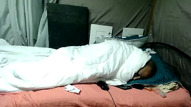 Camodick online show from June 12, 1:26 am