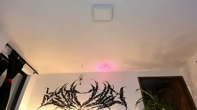 Snapshot of Persefone_Lamort chatting on July 23, 1:58 am Persefone Lamort online show from July 23, 1:58 am