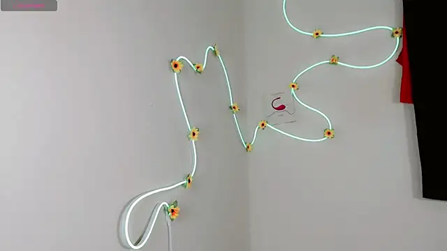 Snapshot of everlin_01 chatting on May 20, 7:09 pm everlin 01 online show from May 20, 7:09 pm