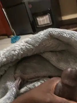BIG DICK BOOGIE online show from June 22, 11:02 pm