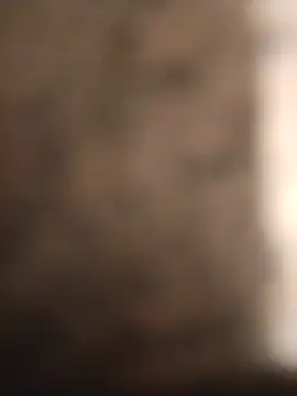 Lovesex329 online show from July 24, 11:58 pm
