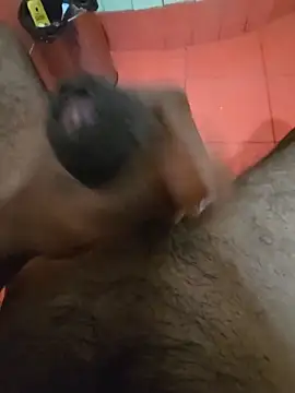 squirrella online show from June 12, 1:54 pm