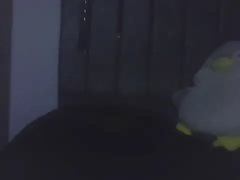 Gnnnnnn000 online show from June 9, 12:44 am