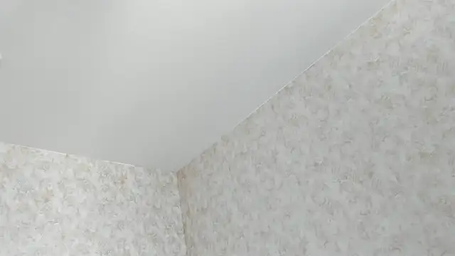 Tiny Sparkling online show from June 14, 6:37 am