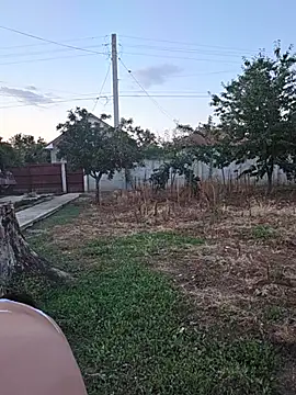 Diana Diafan online show from July 25, 5:54 pm