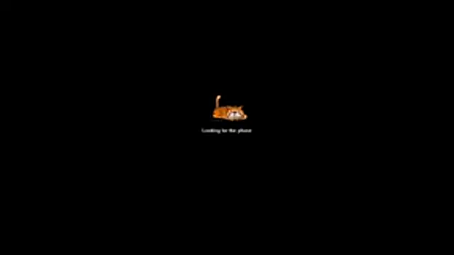 bella-diaz online show from July 13, 8:33 pm