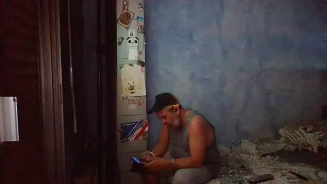 panda 06200 online show from June 7, 8:56 pm