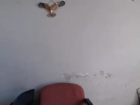 Snapshot of Frank_X_Husle chatting on June 8, 10:37 am Frank X Husle online show from June 8, 10:37 am
