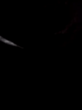 whitecock8-8 online show from July 15, 11:54 pm