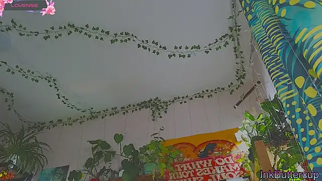 Dead Butterfly online show from September 18, 3:08 am