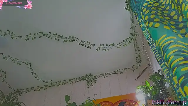 Dead Butterfly online show from September 24, 3:32 am