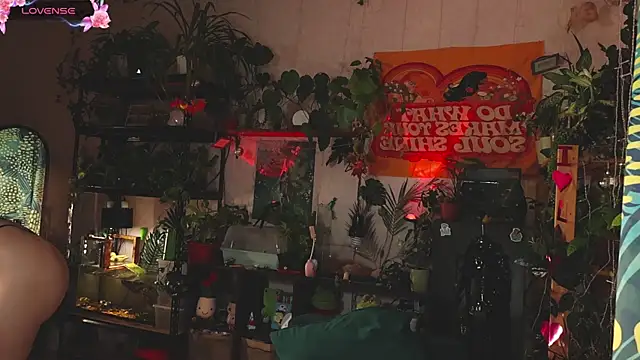 Dead Butterfly online show from November 1, 3:08 am