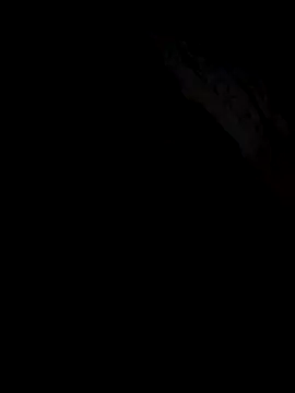 Gazda12 online show from December 19, 6:09 am