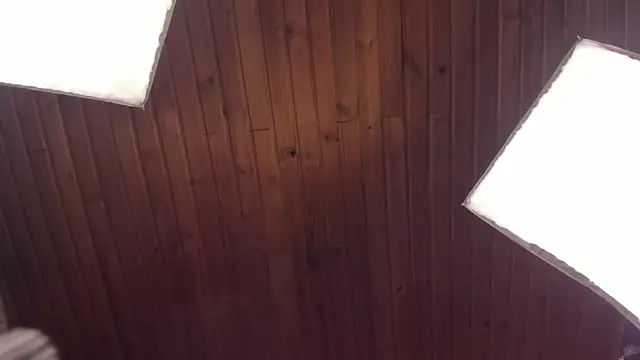 coraline latin online show from February 21, 1:00 am