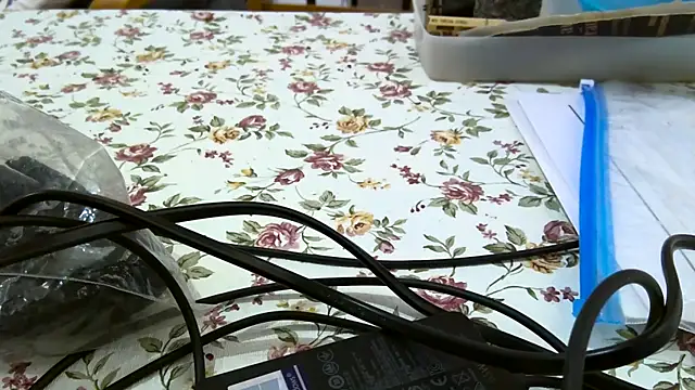 Snapshot of Bigjacky chatting on September 9, 4:39 pm Bigjacky online show from September 9, 4:39 pm