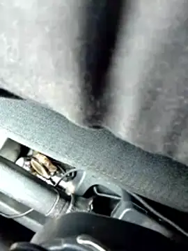 LifeLineSL online show from March 4, 6:30 am