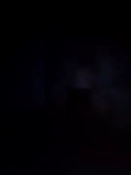 Biknight online show from December 12, 12:59 am