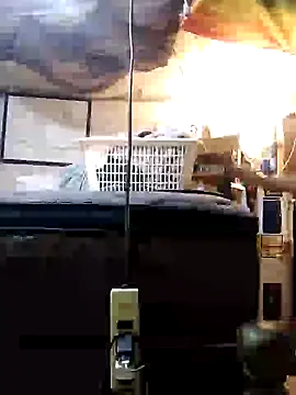 Biknight online show from December 31, 11:49 pm