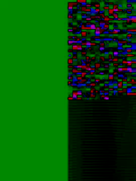 Biknight online show from September 11, 11:32 am