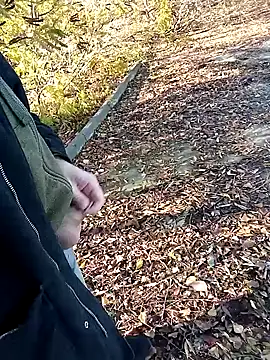 Pokaz2020 online show from October 27, 11:36 am