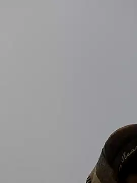 ThethunderPo online show from December 27, 1:43 am