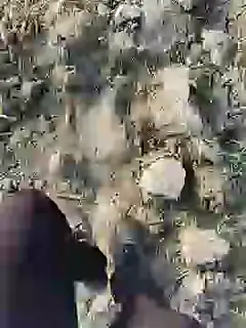 ThethunderPo online show from January 19, 2:36 am