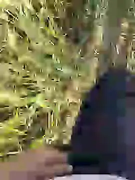 ThethunderPo online show from March 18, 2:36 am