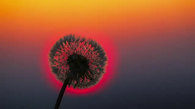 Snapshot of Sunning2 chatting on September 16, 9:43 am Sunning2 online show from September 16, 9:43 am