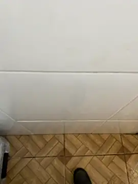 Snapshot of descret_19 chatting on February 11, 2:55 pm descret 19 online show from February 11, 2:55 pm