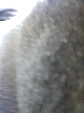 UncutHammer69 online show from October 26, 11:53 pm