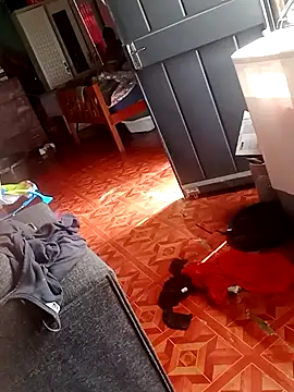 2soyte online show from September 26, 8:29 am