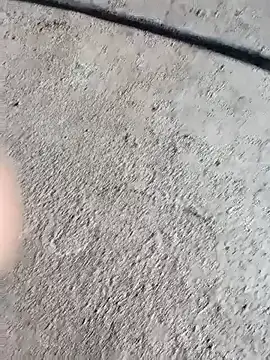 Snapshot of Bengali_BULL1 chatting on October 4, 5:05 am Bengali BULL1 online show from October 4, 5:05 am