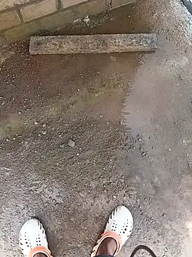 Snapshot of Bengali_BULL1 chatting on October 10, 4:33 am Bengali BULL1 online show from October 10, 4:33 am