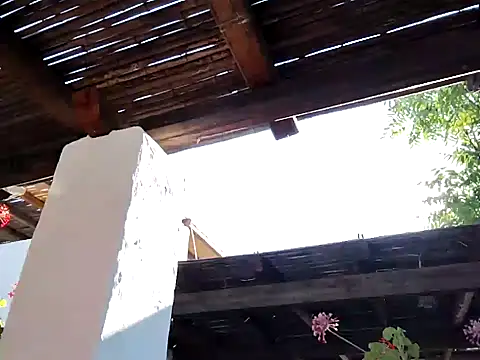 Perv10 online show from June 22, 5:37 am