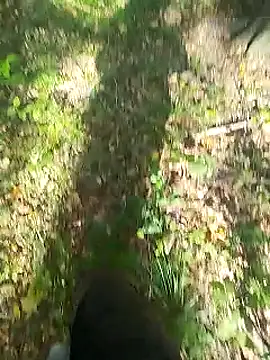 Snapshot of sarpe4 chatting on September 14, 8:02 am sarpe4 online show from September 14, 8:02 am