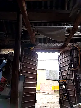 Snapshot of sarpe4 chatting on October 4, 5:27 am sarpe4 online show from October 4, 5:27 am